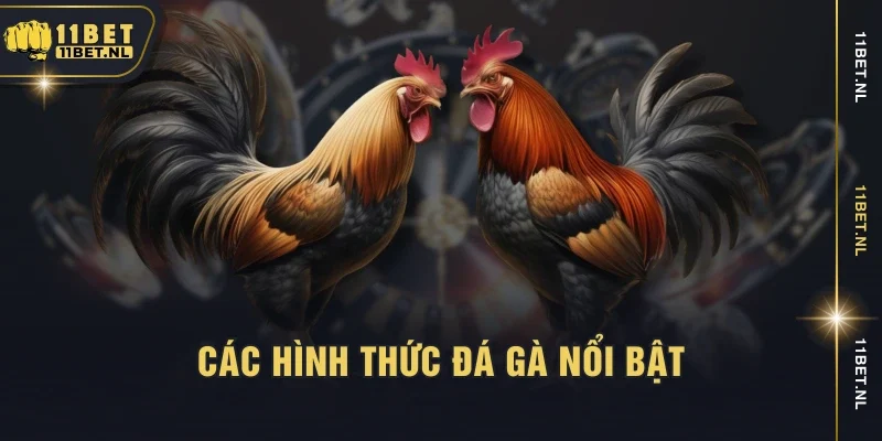 Các hình thức đá gà nổi bật