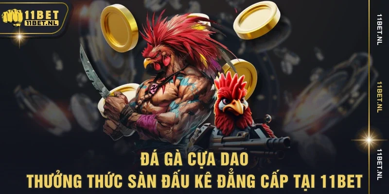 Đá gà cựa dao