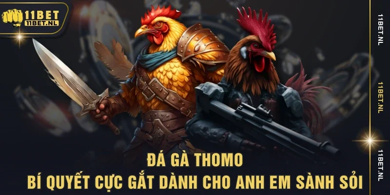 Đá gà Thomo