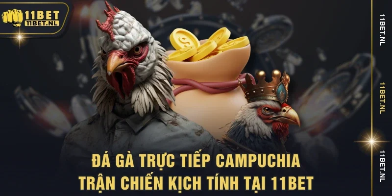 Đá gà trực tiếp Campuchia
