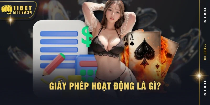 Giấy phép hoạt động là gì?