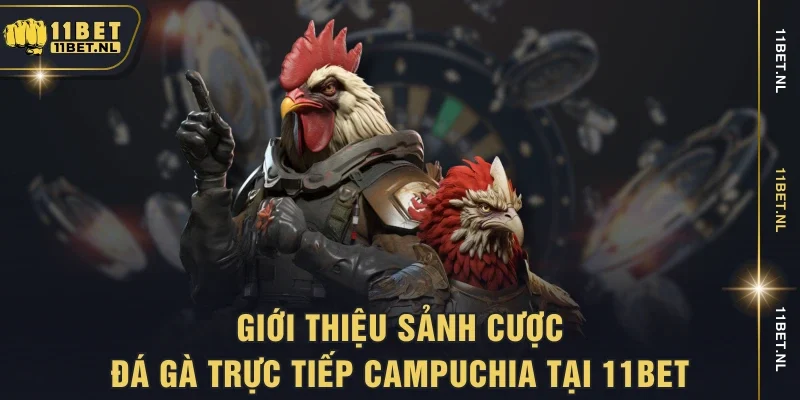 Giới thiệu sảnh cược đá gà trực tiếp Campuchia tại 11bet
