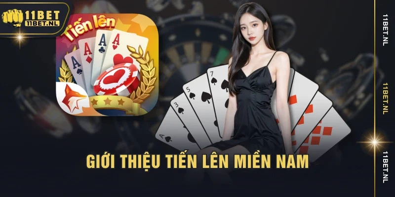 Giới thiệu tiến lên miền nam