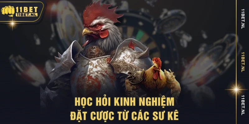 Học hỏi kinh nghiệm đặt cược từ các sư kê