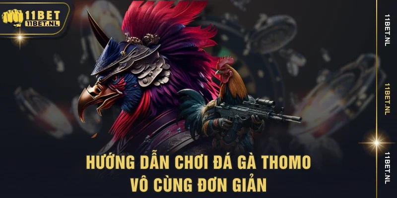 Hướng dẫn chơi đá gà Thomo vô cùng đơn giản