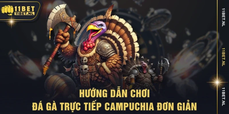 Hướng dẫn chơi đá gà trực tiếp Campuchia đơn giản