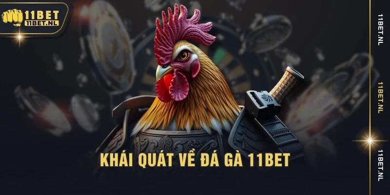 Khái quát về đá gà 11BET