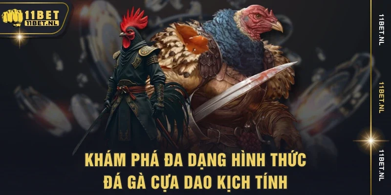 Khám phá đa dạng hình thức đá gà cựa dao kịch tính