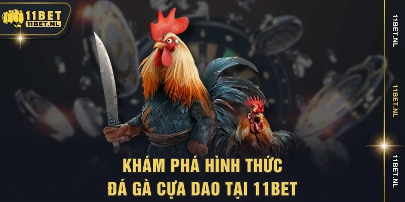 Khám phá hình thức đá gà cựa dao tại 11bet