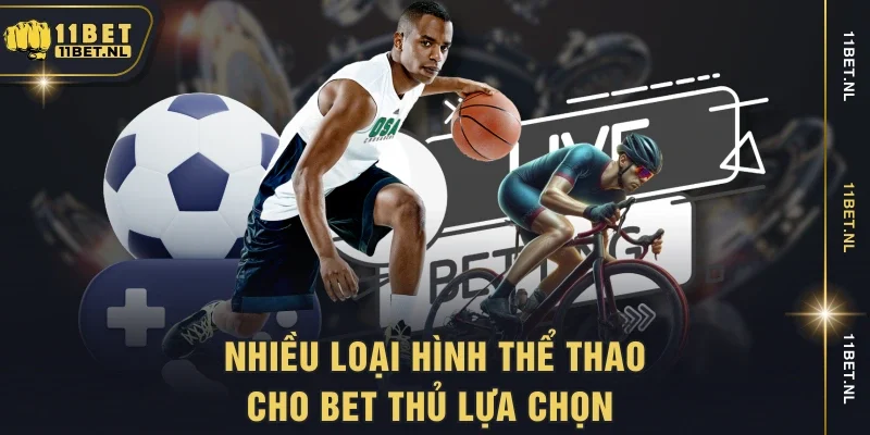 Nhiều loại hình thể thao cho bet thủ lựa chọn 