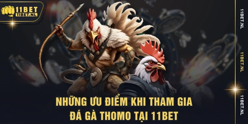 Những ưu điểm khi tham gia đá gà Thomo tại 11bet