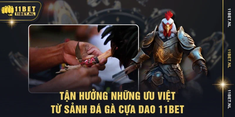 Tận hưởng những ưu việt từ sảnh đá gà cựa dao 11bet