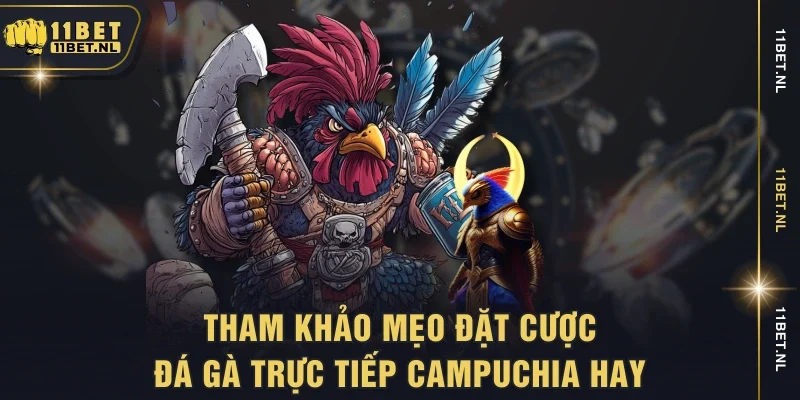 Tham khảo mẹo đặt cược đá gà trực tiếp Campuchia hay